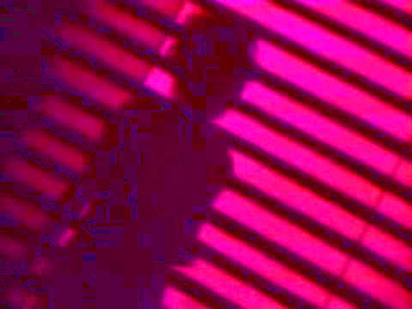 460>_4477128